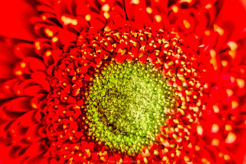 ASC03590a-scaled