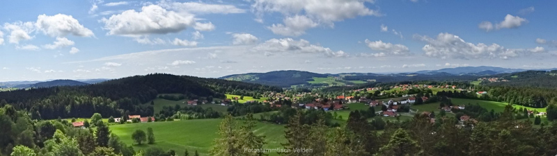 Bayrischer-Wald-scaled