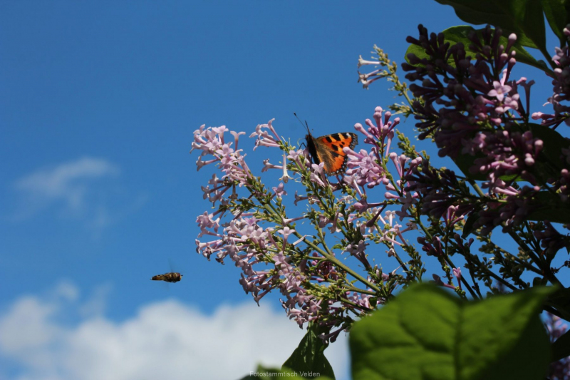 IMG_5151-scaled