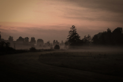 47217264-efed-420e-85c6-84de8f2ce7e8.1-2