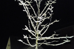 IMG_20221210_201215-scaled