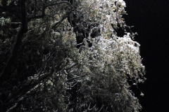 IMG_20221210_214446-scaled