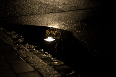 Spiel-mit-dem-Wasser-scaled