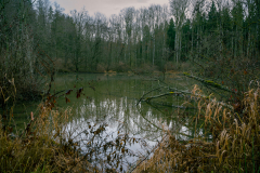 2022-07_Wasser_MH_009