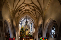 2023-01-15-DSC02288-1