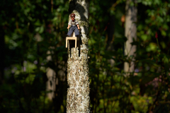 06-Blick-in-die-Tiefe