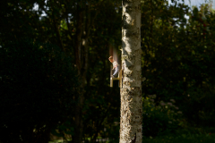 08-Freier-FAll_2