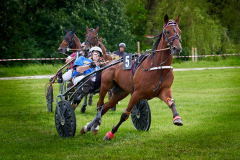 19-Zielgerade