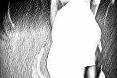 Lucky-Line-Dancer-1