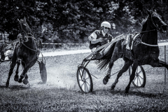 Velden-Pferderennen-2023-4