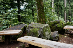 749709AC-4176-4D4B-8463-DF42DF11C84D