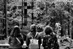 FEA8BAE5-692F-4284-9841-3274D790E79D-2