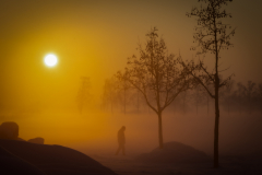 20221217-20221217-1C0A0502