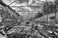 ING00656-Bearbeitet