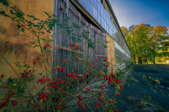 MHu-Lost-Places-014