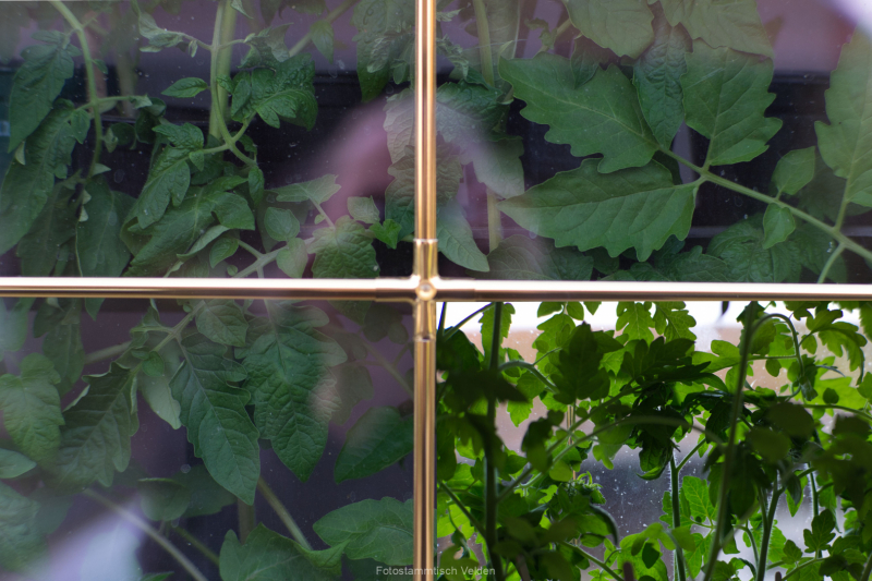 Hinter-Gittern