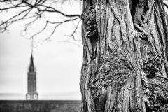 Holz-trifft-Backstein