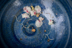 Kastanienbluete-trifft-gebrannten-Ton