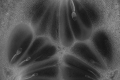 Texturen_MHu_008