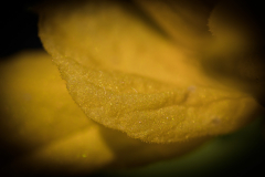Texturen_MHu_011