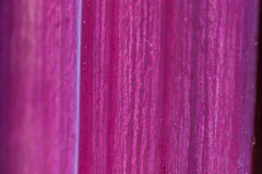 Texturen_MHu_013