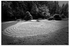 SW-im-Garten_1-scaled