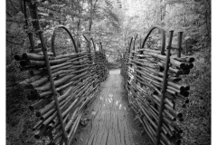 SW-im-Garten_2-1-scaled