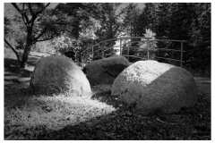 SW-im-Garten_5-scaled
