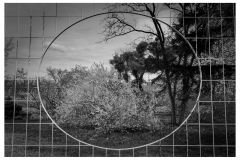 SW-im-Garten_7-scaled