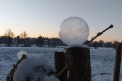 20210213_072220-scaled