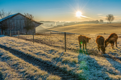 Sonnenaufgang bei Buchbach