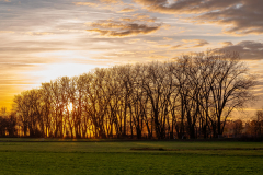 Sonnenuntergang an der Vils